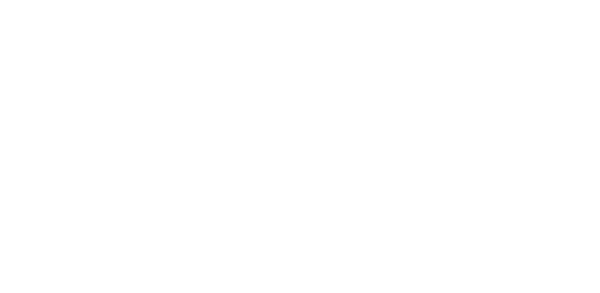 Högskolan på Åland logotyp